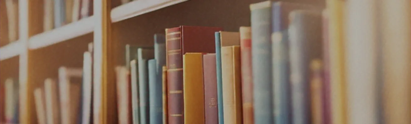 Sunlight and open book
